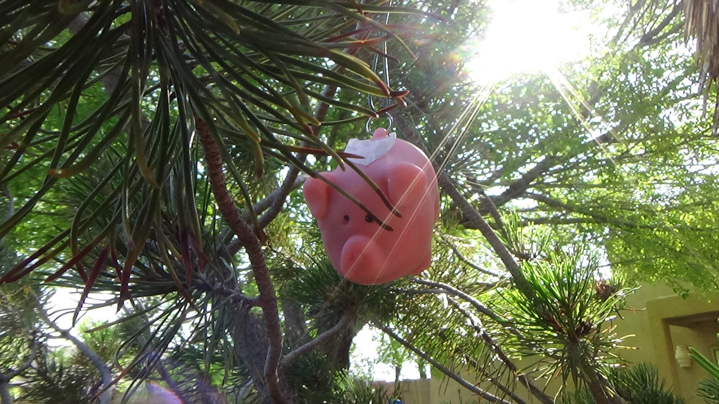 Poopy Angel Pig Ornament