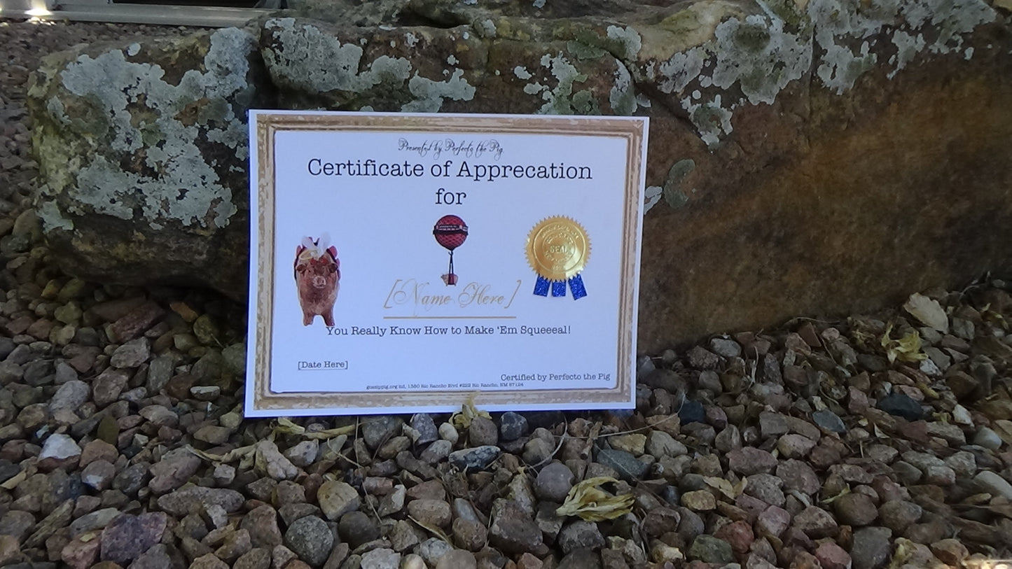 Perfecto the Pig Certificate